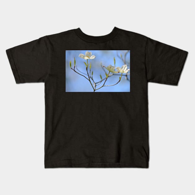 Dogwood Blossoms Kids T-Shirt by LaurieMinor